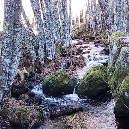 Casa Terreiro Da Lapa * Quintela (Viseu)