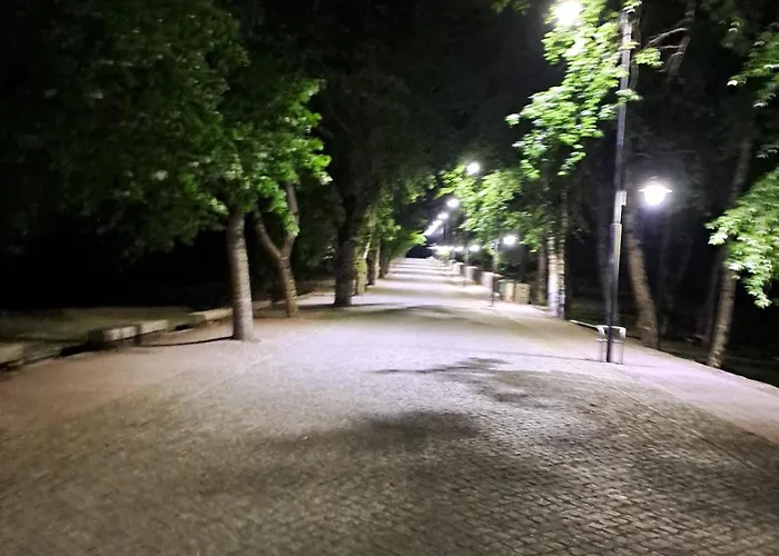 Casa Terreiro Da Lapa Hébergement de vacances Quintela (Viseu)